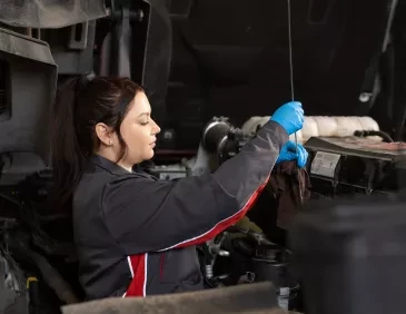 Carte d'identité RT 